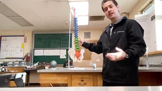 BEAMNOVA Flexible Anatomy Spine Model