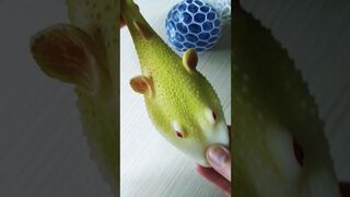 fish stretching ???????? #squishys #fidgettoy #memes #relax #shortsfeed