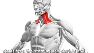 Instant Neck Pain Relief! Unlock Perfect Posture with SCM Stretching