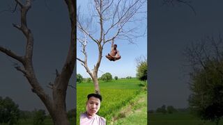 पेड़ के उप्पर yoga ???? #shortvideo #yoga #shorts