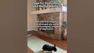 Yoga for Stress Relief and Mental Wellness | SequentialBody.com
