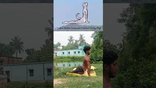 animal yoga example ???????????????? #shotrs #viral #yogapose???????? #animal #fitness #trending