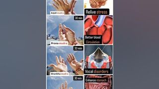 4 Powerful mudras ✅....Yoga mudra vocal viral yoga classes #mudra #mudratherapy #yoga #stomach