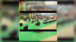 10th International Yoga Day in our School