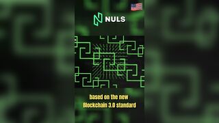 Nuls Blockchain! Flexible and Customizable Solutions #bitcoin #crypto