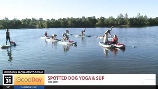 Go on a stand-up paddle board yoga adventure with Molly!