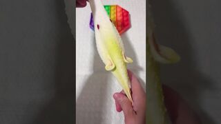 stretching and squishy fish ???? ???????? #viraltoys #squishy #stretching #fidget #popular #ytshort #tiktok