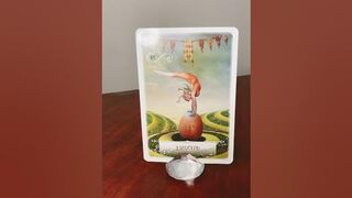 #243 Sagittarius - Wisdom of the Oracle Message, Flexible Rvsd