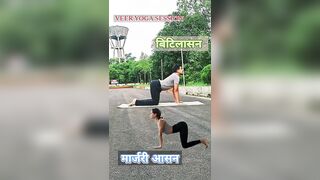 Marjari Asana | Cat Cow Pose Yoga | मार्जरी आसन-बिटलासन | #shorts #ytshorts #yoga @veeryogasession