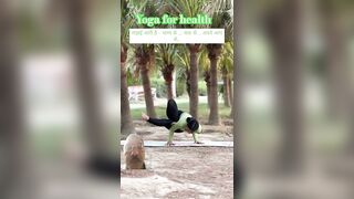 ????????Health is wealth #yoytubeshorts #yoga #fittness#shorts #viral_videos