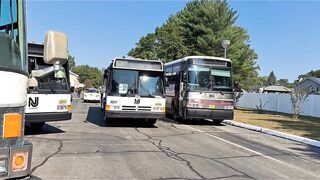 NJT and NJT Police Department: Grumman Flexible #1596 #3057 #190 at NJ Bus Festival and MCI #5531