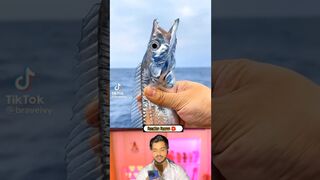 Transparent fish |????????|#respect #reaction #shorts #youtubeshorts