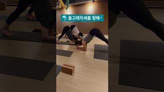 #돌고래자세 #돌핀자세 #전신근력운동 #yoga #요가 #yogalife #요가수련 #요가원 #수업영상 #노력 #성실