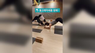 #돌고래자세 #돌핀자세 #전신근력운동 #yoga #요가 #yogalife #요가수련 #요가원 #수업영상 #노력 #성실