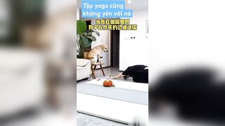 Buổi tập yoga bất ổn#yoga #memes #games #viralvideo #batonrouge