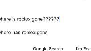 what if roblox was gone ????