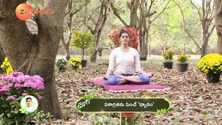 Exercises to Improve Concentration | Increases Focus | Padmasana | Yoga with Dr. Tejaswini Manogna