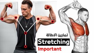 Stretching Excersice  | Mobility & Flexibility Exercises Workout Home