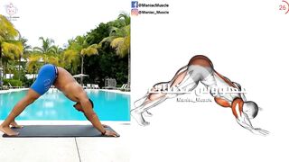 Stretching Excersice  | Mobility & Flexibility Exercises Workout Home