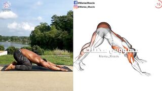 Stretching Excersice  | Mobility & Flexibility Exercises Workout Home