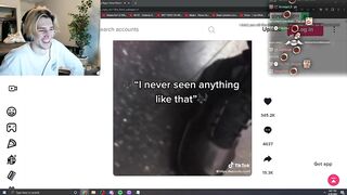 xQc Can't Stop Laughing At This TikTok