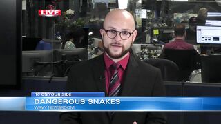 Virginia Beach aquarium provides anti-venom for man bitten by snake