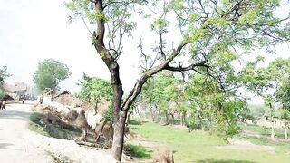 Village Real Travel India up Uttar Pradesh || Rural Life India village travelling