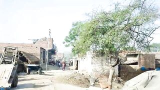 Village Real Travel India up Uttar Pradesh || Rural Life India village travelling