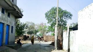 Village Real Travel India up Uttar Pradesh || Rural Life India village travelling