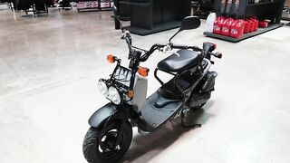 NEW 2023 Honda Motorcycles & Scooters Released! Model Lineup Announcement Review