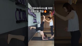 #핀차마유라사나 #벽과 함께 연습 #어깨강화 #yoga #요가 #yogalife #요가수련 #요가원 #수업영상 #노력 #성실