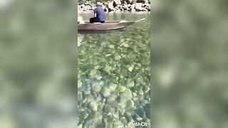 Crystal clear water#India,s transparent river#dawki#umngot river#pure#ytshorts#you tube#nature