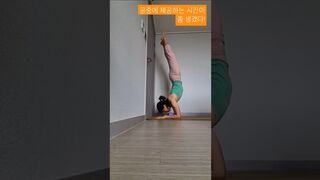 아침빵 먹고 요가연습 핀차마유라사나 #yoga #elbowstand #역자세 #머리서기 #춤추는약사