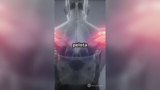 ¡El Hombro La Articulación Más Flexible del Cuerpo!