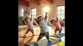 #Yoga Kitten#Cute Cat#Cat Yoga#Relax#Cute Pet#Yoga Poses#Pet Yoga#Healing smile #Baby #Warm heart