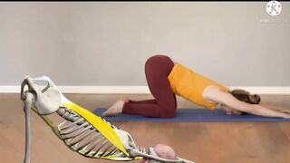 Importance and method of best yoga | best yoga positions | yoga for fat belly and muscles