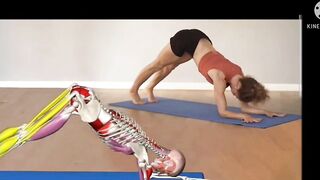 Importance and method of best yoga | best yoga positions | yoga for fat belly and muscles