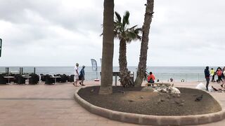 PLAYA DEL INGLES. TOURISTS Leave ANEXO II And The BEACH BECAUSE Of The RAIN. April 03, 2022.