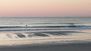 North Florida Surf and Beach Update 715am 04.03 2022