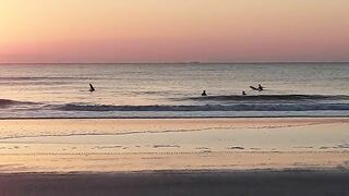 North Florida Surf and Beach Update 715am 04.03 2022