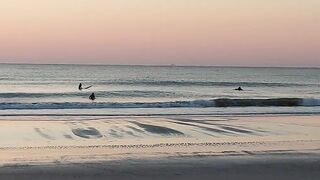 North Florida Surf and Beach Update 715am 04.03 2022