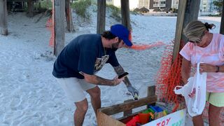 Tampa Bay TikTok star finds fame through beach cleanups