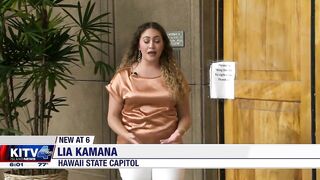 Hawaii Safe Travels program estimated to have cost $37-million