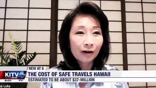 Hawaii Safe Travels program estimated to have cost $37-million