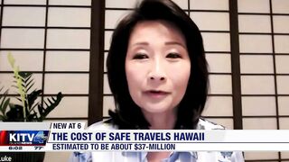 Hawaii Safe Travels program estimated to have cost $37-million