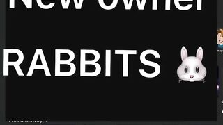 If Rabbits own Roblox ????????