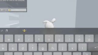 If Rabbits own Roblox ????????