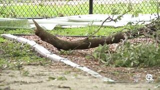 Severe storm rocks Palm Beach Gardens