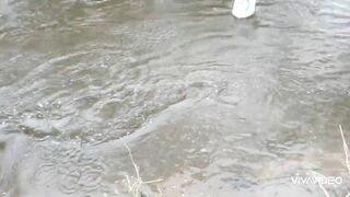 Catching BIG TROUT in a small stream.