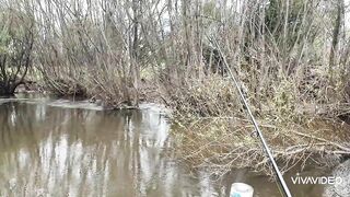 Catching BIG TROUT in a small stream.